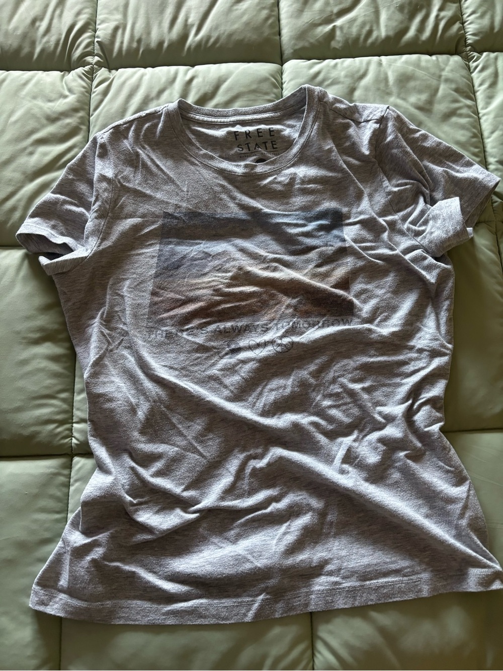 Free State Men's Light Gray Graphic Crewneck Tee